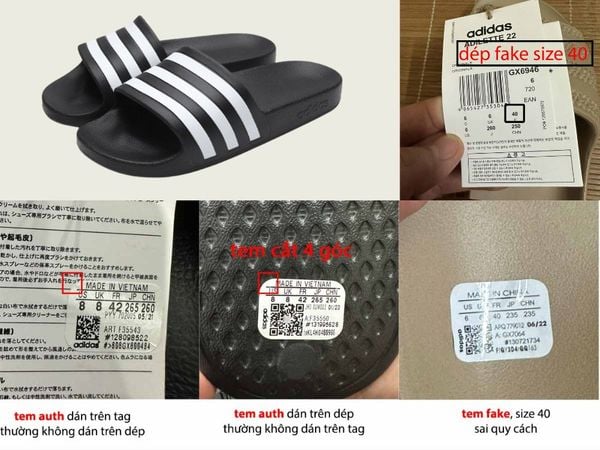 Kiểm Tra Tổng Thể Ban Đầu - Những Dấu Hiệu "Lộ Liễu" Nhất