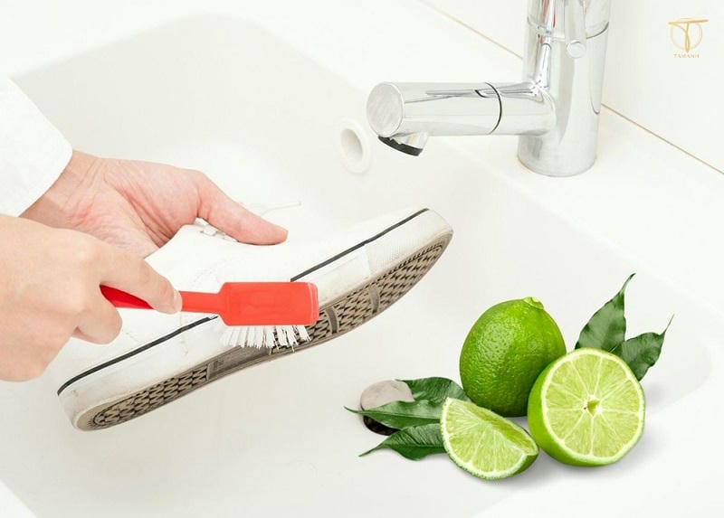 Tận Dụng Sức Mạnh Từ Chanh Tươi