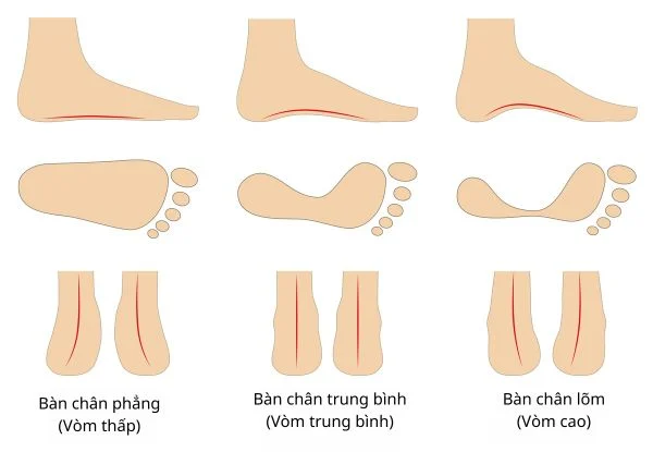 Những yếu tố quyết định một đôi giày có vừa chân